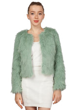 Miss Anne Faux Fur Long Sleeve Bolero in Green and Blue