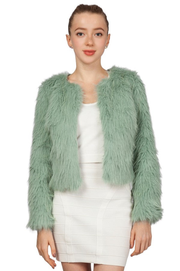 Miss Anne Faux Fur Long Sleeve Bolero in Green and Blue