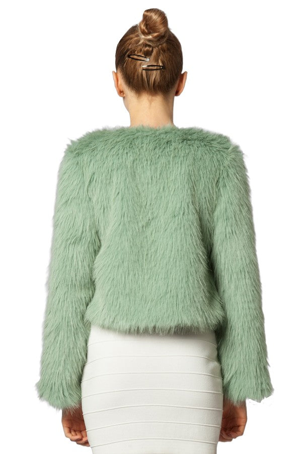 Miss Anne Faux Fur Long Sleeve Bolero in Green and Blue