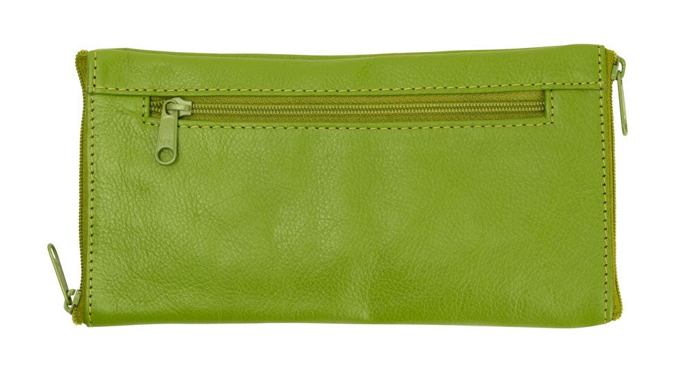 Franco Bonini Double Sided Spectacle Case with Rear Zip 2020 Apple