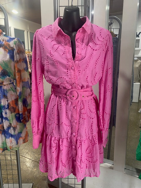 Lorraine Lace Sleeved Dress in Pink