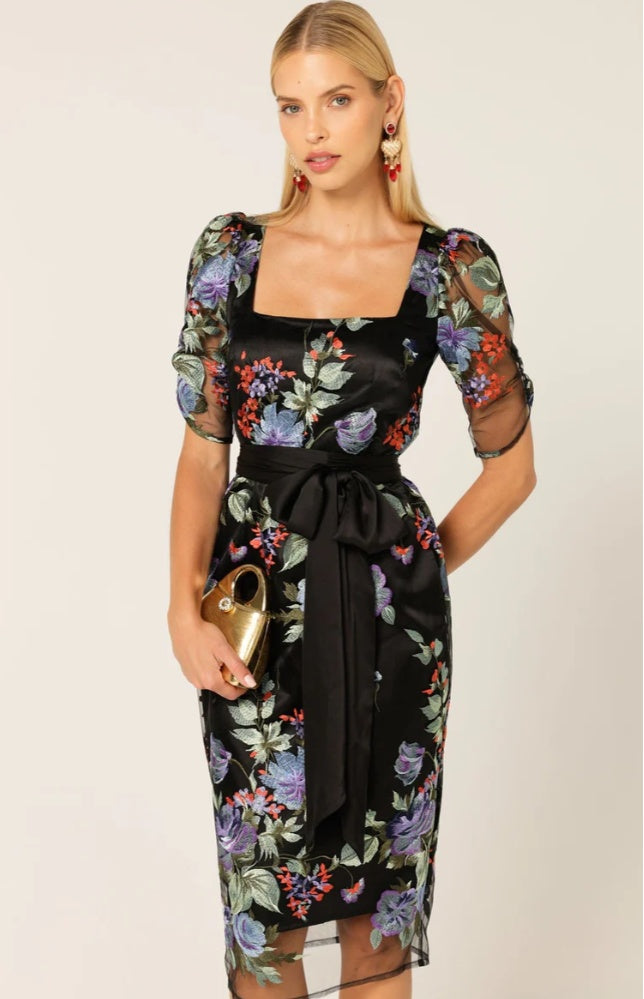 Sacha Drake Mont Tombe Embroidered Lace Events Dress