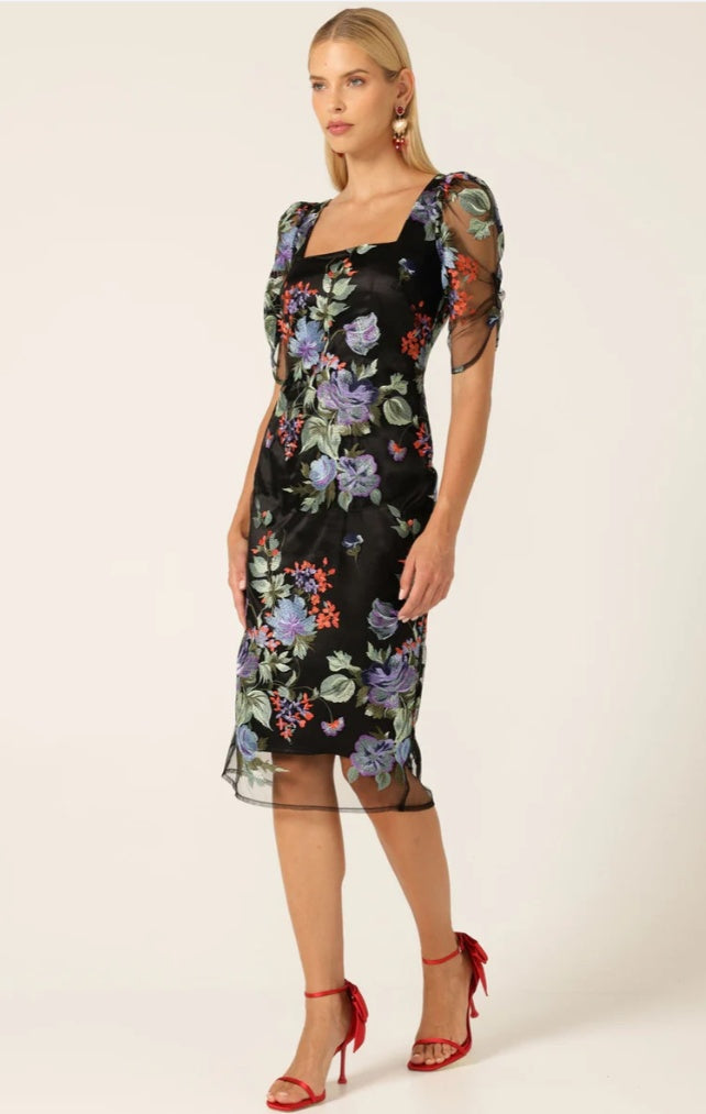 Sacha Drake Mont Tombe Embroidered Lace Events Dress