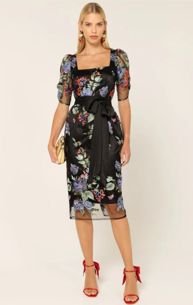 Sacha Drake Mont Tombe Embroidered Lace Events Dress