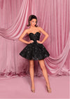 Nicoletta - NC3086 (Available in Black, Dove Blue Pink and Ivory)