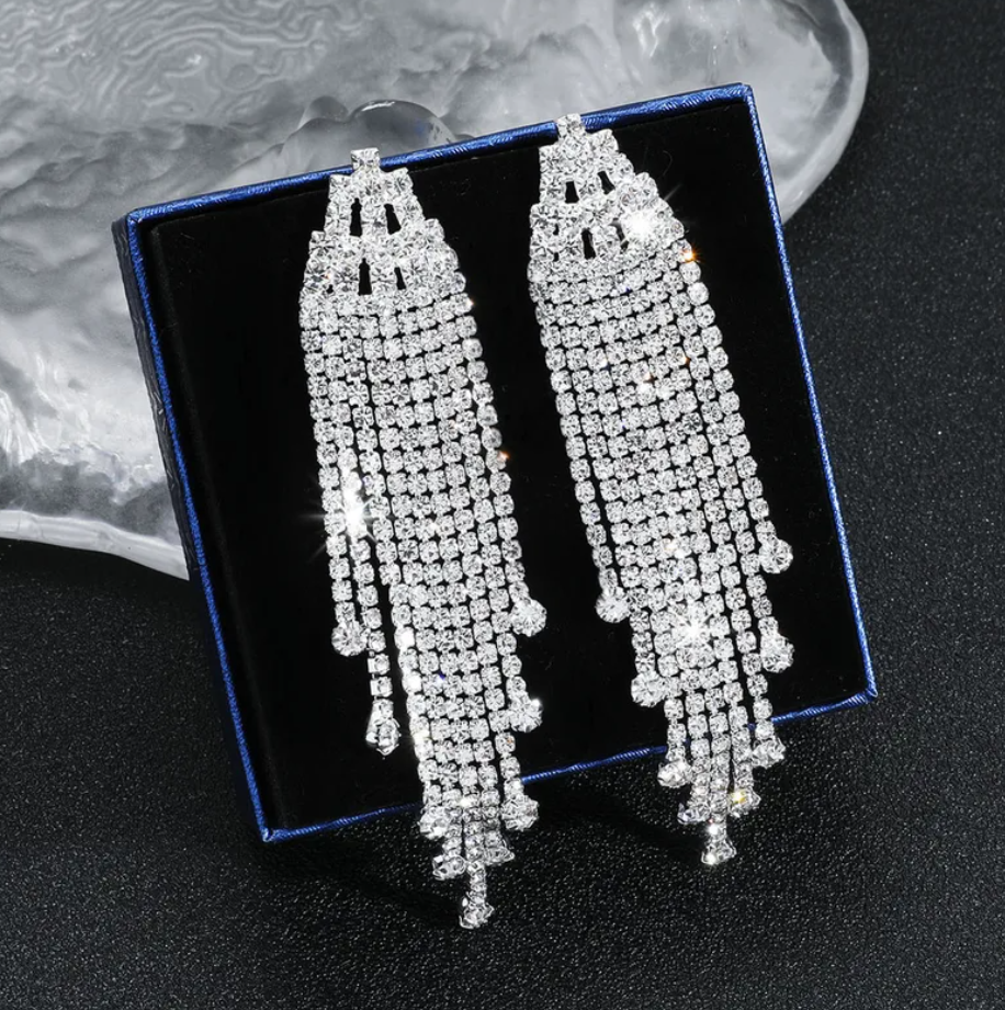 R7 Tassel Drop Earrings in Silver 302