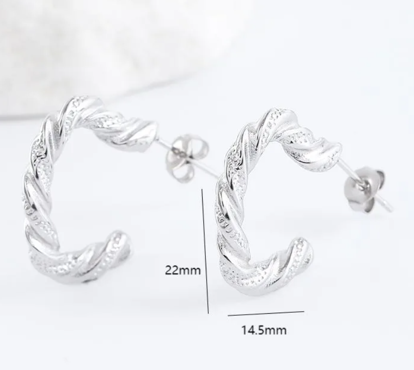R7 Silver Earrings 426
