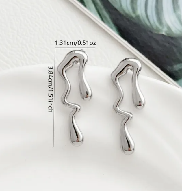 R7 Silver Earrings 434