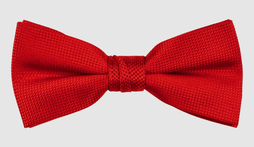 Self Pattern Bow Tie
