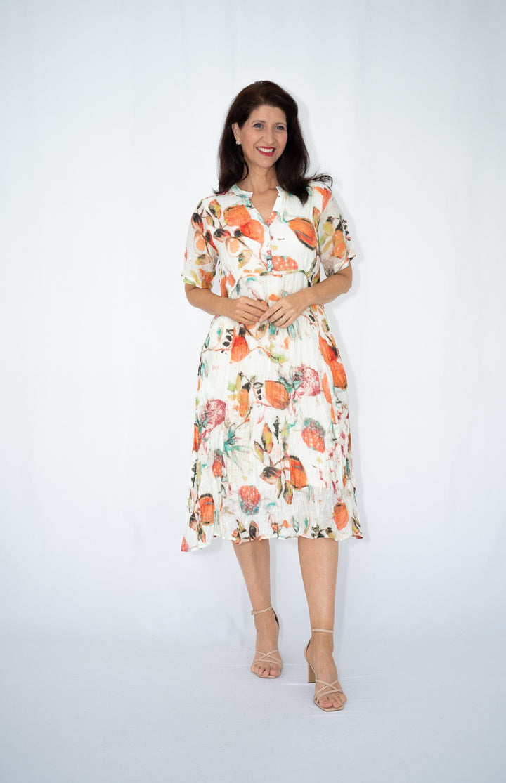 Jolie Saule Fruit Print Panel Dress