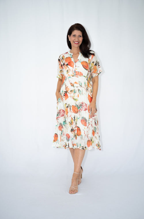 Jolie Saule Fruit Print Panel Dress