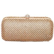 Diamante Mesh Structured Clutch in Gold 15721