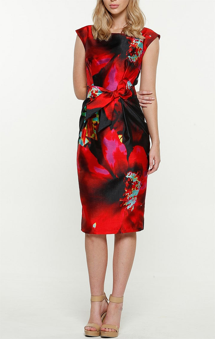 Sacha Drake Kim Dress