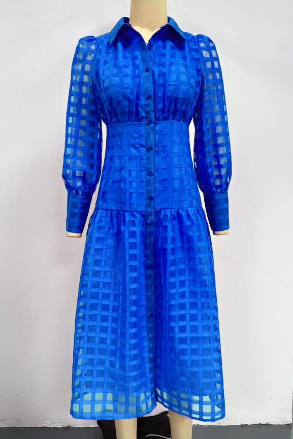 YH and Co Sheer Sleeve Dress in Cobalt